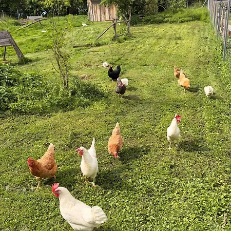 Auf Bauernhof Mit Seperatem Eingang Und Outdoorsaunanutzung